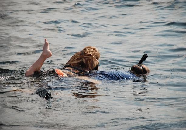 Florida Scalloping